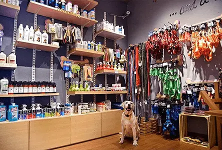 Pet Shop