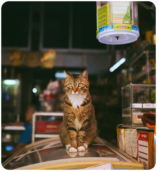 Pet Store