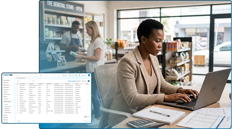 owner using vasy accouting software